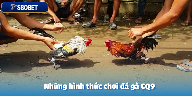 Đá Gà CQ9 Sbobet – Chinh Phục Những Màn So Tài Đỉnh Cao 4 Các thể loại cược đá gà CQ9 hay nhất tại Sbobet