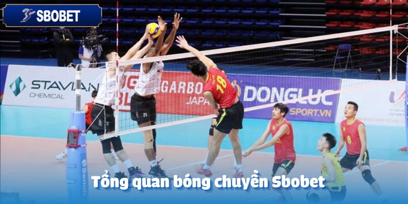 Bóng Chuyền Sbobet-Môn Thể Thao Đáng Chú Ý Năm 2025 2 Tổng quan về bóng chuyền tại Sbobet