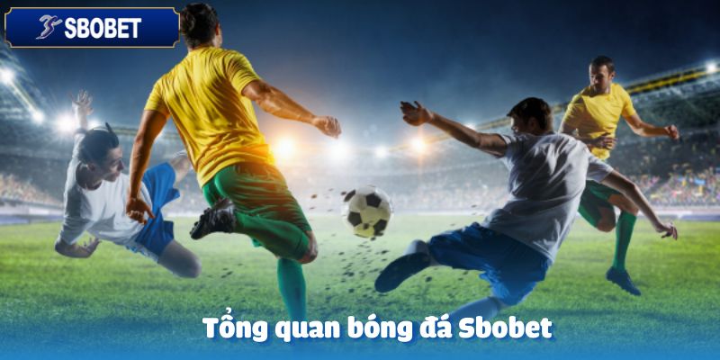 Bóng Đá Sbobet – Khám Phá Những Giải Đấu Thú Vị và Hấp Dẫn 2 Tổng quan về bóng đá tại nhà cái Sbobet