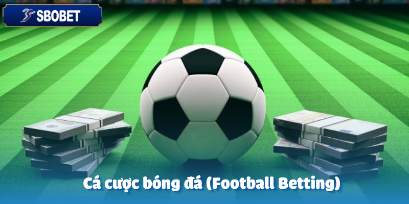 CMD368 Trên Sbobet – Hòa Mình Vào Thế Giới Cá Cược Sôi Động 4 Cược bóng đá là ưu tiên hàng đầu của người chơi tại CMD368 Sbobet