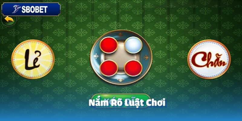 Xóc Đĩa - Sảnh Cược Đáng Trải Nghiệm Nhất Tại SBOBET 5 Nắm rõ luật chơi xóc đĩa tại SBOBET là yếu tố quan trọng