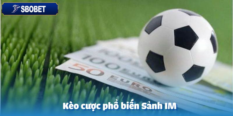 Sảnh IM Thể Thao-Sảnh Cá Cược Hấp Dẫn Hàng Đầu Tại Sbobet 5 Những loại kèo cược phổ biến tại Sảnh IM Thể thao