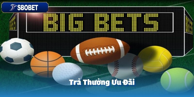 Một trong những điểm thu hút nhất của Lucky Sports chính là mức tỷ lệ trả thưởng cực kỳ ưu đãi