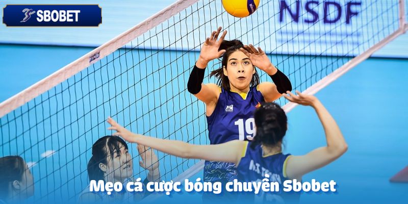 Bóng Chuyền Sbobet-Môn Thể Thao Đáng Chú Ý Năm 2025 6 Mẹo hay khi tham gia cá cược bóng chuyền tại Sbobet