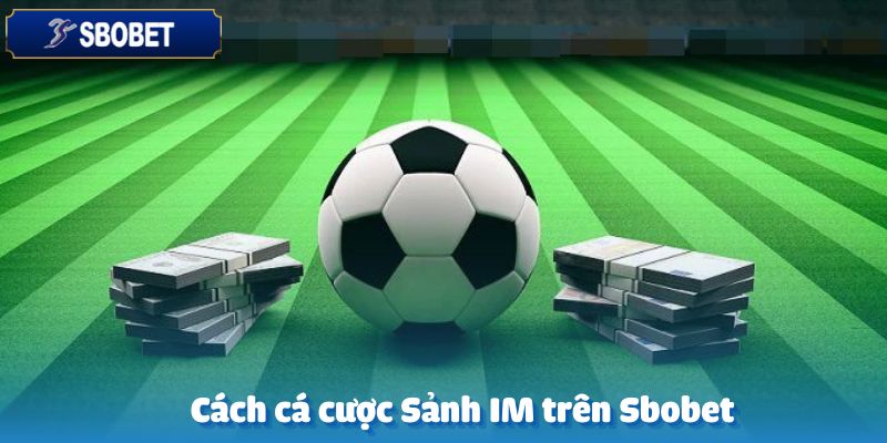 Sảnh IM Thể Thao-Sảnh Cá Cược Hấp Dẫn Hàng Đầu Tại Sbobet 6 Cách tham gia cá cược tại sảnh IM trên nền tảng Sbobet