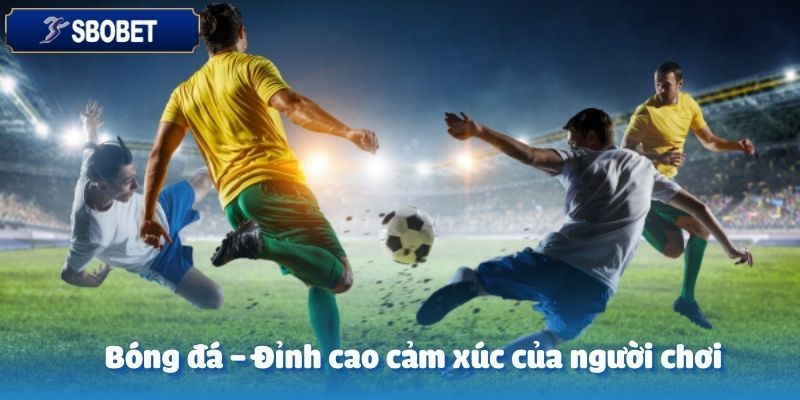 Sảnh UG Sports – Đấu Trường Cá Cược Thể Thao Sôi Động Tại SBOBET 4 Bóng đá – môn thể thao vua luôn dẫn đầu tại UG Sports