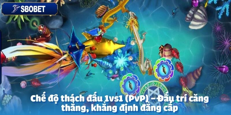 KS HOT Bắn Cá – Thách Thức Đại Dương, Săn Thưởng Cực Đỉnh 4 Chế độ thách đấu 1vs1 chính là đấu trường KS HOT bắn cá hoàn hảo