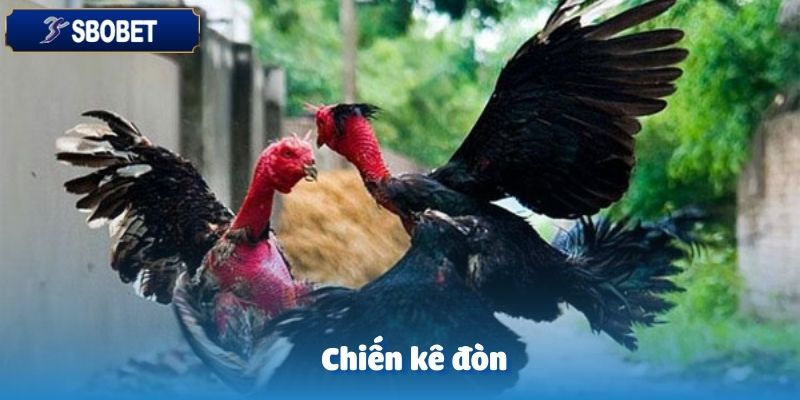 GA28 Đá Gà Tại SBOBET: Trải Nghiệm Độc Đáo Cho Người Chơi 4 Chiến kê đòn được coi là hình thức truyền thống tại GA28 đá gà