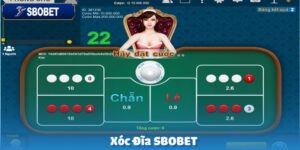 anh dai dien 8