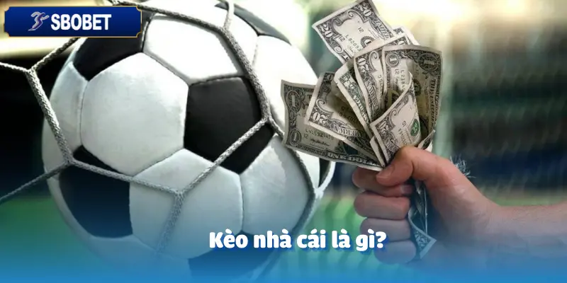 Bí Quyết Phân Tích Kèo Nhà Cái Từ CEO SBOBET 2 Bí Quyết Phân Tích Kèo Nhà Cái Từ CEO sbobet