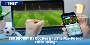 CEO SBOBET Đã Đọc Kèo Như Thế Nào Để Luôn Chiến Thắng?