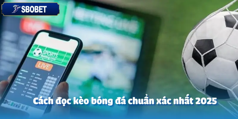 CEO SBOBET Đã Đọc Kèo Như Thế Nào Để Luôn Chiến Thắng? 6 CEO SBOBET Đã Đọc Kèo Như Thế Nào Để Luôn Chiến Thắng?