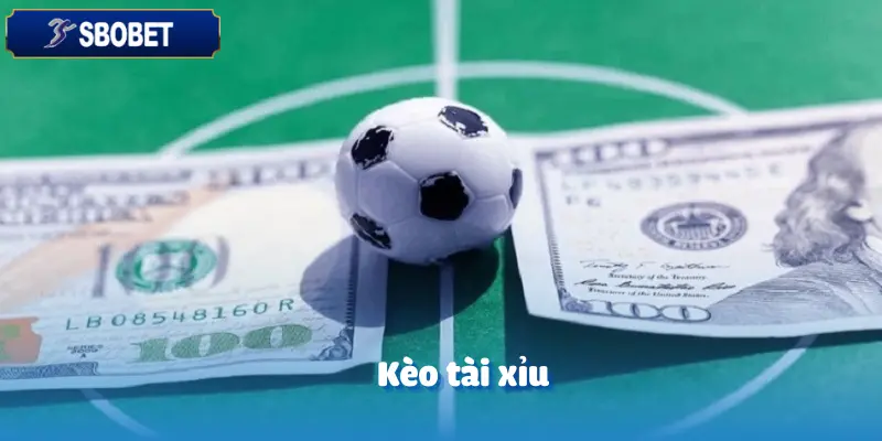 CEO SBOBET Đã Đọc Kèo Như Thế Nào Để Luôn Chiến Thắng? 3 CEO SBOBET Đã Đọc Kèo Như Thế Nào Để Luôn Chiến Thắng?