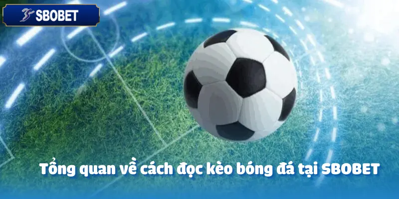 CEO SBOBET Đã Đọc Kèo Như Thế Nào Để Luôn Chiến Thắng? 2 CEO SBOBET Đã Đọc Kèo Như Thế Nào Để Luôn Chiến Thắng?