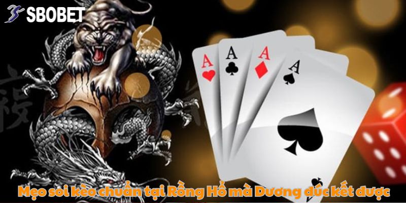 Chiến lược đắt giá soi kèo chuẩn tại Rồng Hổ mà Dương để lại