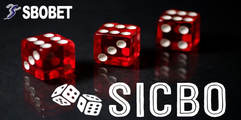 Anh Nguyễn Tuấn Thắng 980 Triệu Từ Sicbo Tại SBOBET: Một Pha Đặt Cược Để Đời 4 Chiến thuật chơi Sicbo từ Tuấn Tỷ Phú