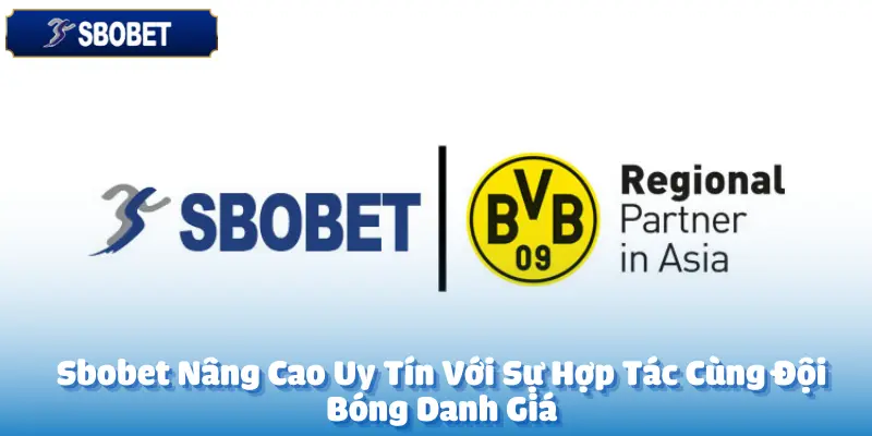 Đội Bóng Đại Diện Hợp Tác Cùng Sbobet