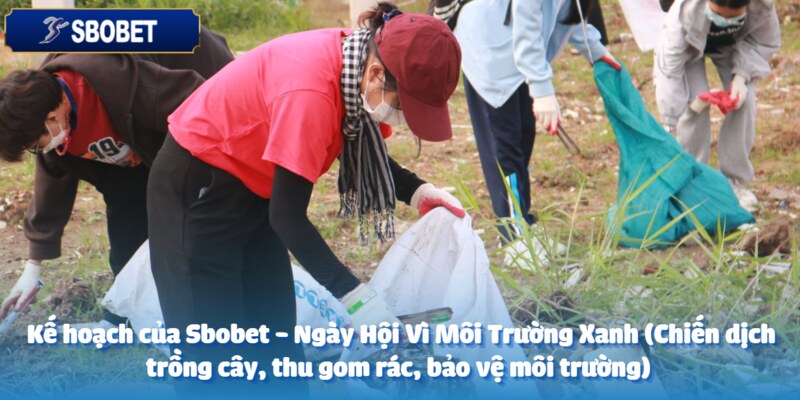 Sbobet luôn từng bước thực thi kế hoạch