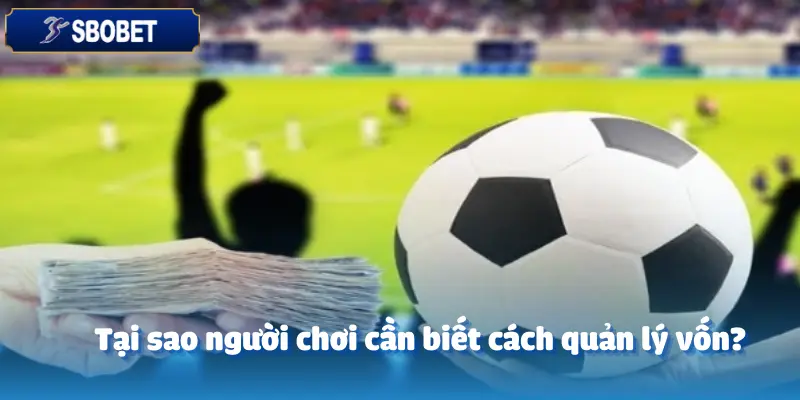 Làm Sao CEO sbobet Quản Lý Vốn Để Không Bao Giờ Cháy Tài Khoản?