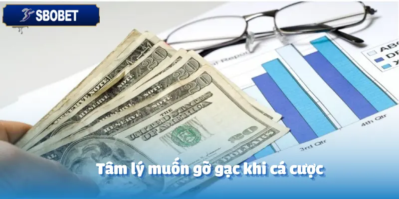 Làm Thế Nào Để Không Bị Cuốn Theo Lối Chơi Đổ Máu? CEO Sbobet Chia Sẻ Kinh Nghiệm