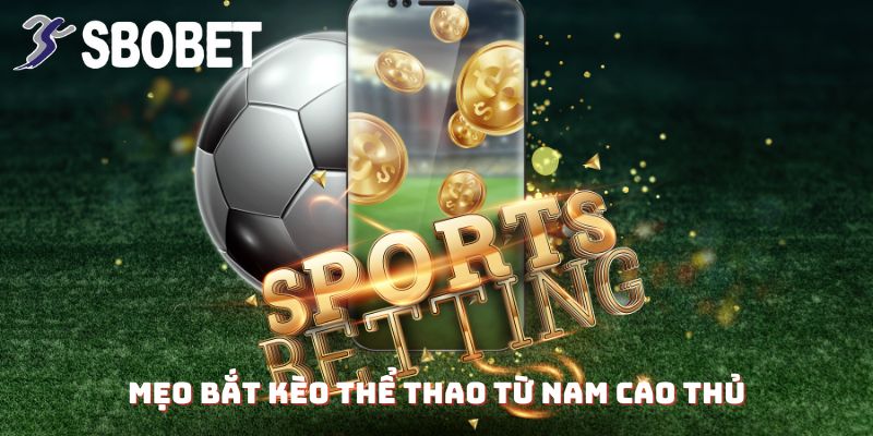 Anh Trần Hoàng Nam Thắng 630 Triệu Từ Cá Cược Thể Thao Tại SBOBET: Đọc Kèo Chuẩn Không Cần Chỉnh 4 Mẹo bắt kèo thể thao từ Nam Cao Thủ