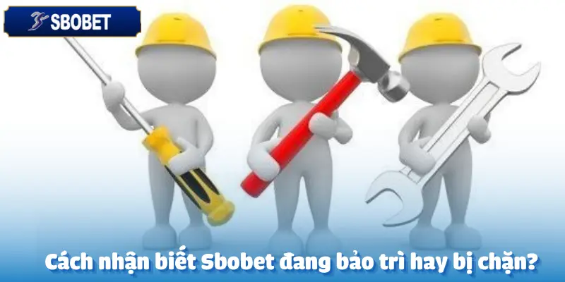 Nhà Cái Sbobet Có Hay Bảo Trì Không?