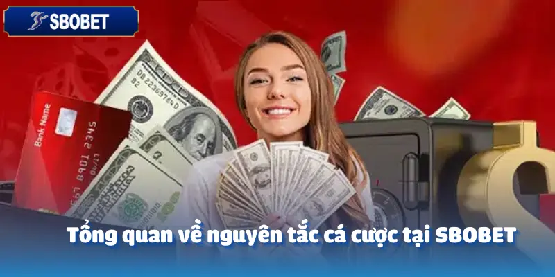 Những Nguyên Tắc Cá Cược Bất Biến Mà CEO Sbobet Luôn Tuân Thủ 2 Những Nguyên Tắc Cá Cược Bất Biến Mà CEO sbobet Luôn Tuân Thủ