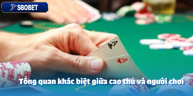Sự Khác Biệt Giữa Người Chơi Nghiệp Dư Và Một Cao Thủ Cá Cược Theo CEO Sbobet 2 Sự Khác Biệt Giữa Người Chơi Nghiệp Dư Và Một Cao Thủ Cá Cược Theo CEO Sbobet