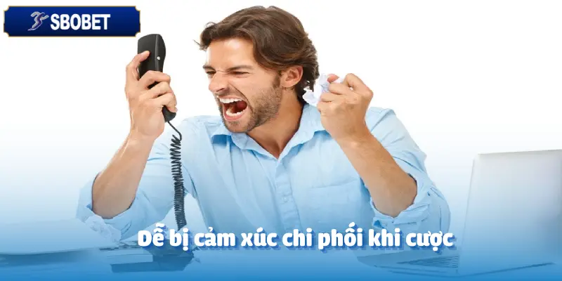 Tại Sao CEO Sbobet Không Bao Giờ Đặt Cược Theo Cảm Tính? 4 Tại Sao CEO Sbobet Không Bao Giờ Đặt Cược Theo Cảm Tính?
