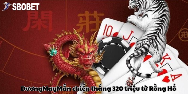 Thắng lớn tại Rồng Hổ gây bão với số tiền lên tới 320 triệu đồng từ DươngMayMắn