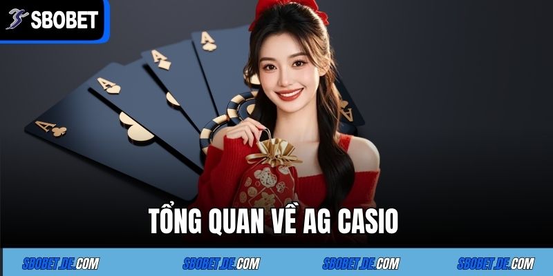 Tổng quan về AG CASIO