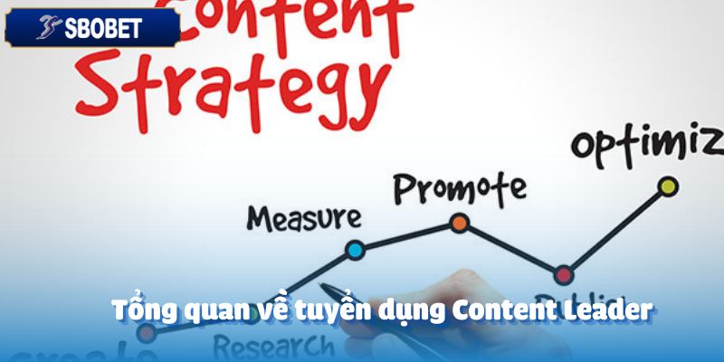 Tuyển Dụng Content Leader-Tham Gia Dẫn Dắt Nội Dung Sáng Tạo 2 Tổng quan về tuyển dụng Content Leader