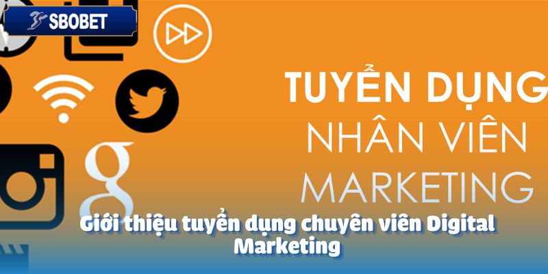 Tuyển Dụng Chuyên Viên Digital Marketing - Cơ Hội Nghề Nghiệp 3 Giới thiệu tuyển dụng chuyên viên Digital Marketing