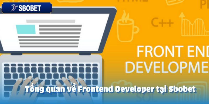 Tuyển Dụng Frontend Developer – Cơ Hội Hấp Dẫn 2 Tổng quan về Frontend Developer tại Sbobet