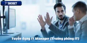 Tuyển dụng IT Manager (Trưởng phòng IT)