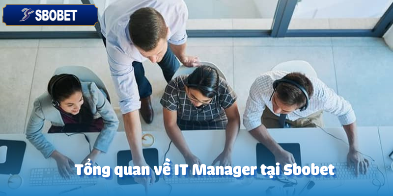 Tuyển Dụng IT Manager (Trưởng Phòng IT) – Ứng Tuyển Ngay 2 Tổng quan về IT Manager tại Sbobet