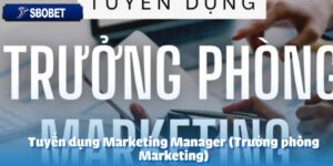 Tuyển dụng Marketing Manager