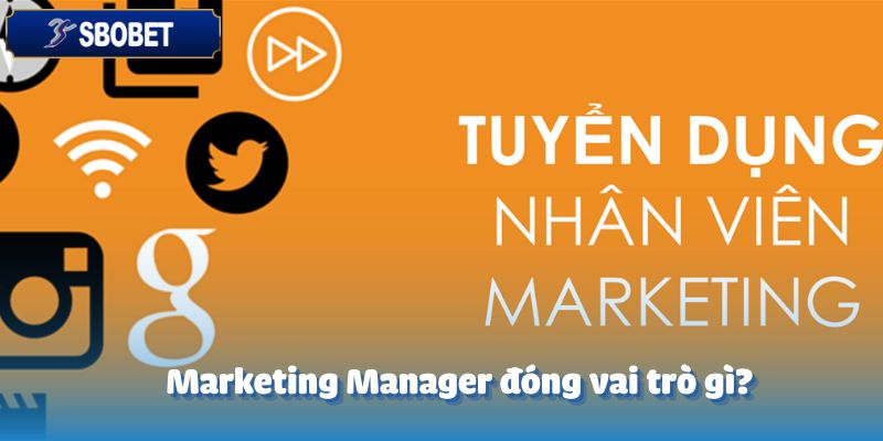 Tuyển Dụng Marketing Manager – Cơ Hội Dẫn Dắt 2 Marketing Manager đóng vai trò gì?