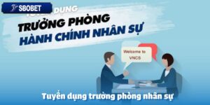 Tuyển dụng trưởng phòng nhân sự